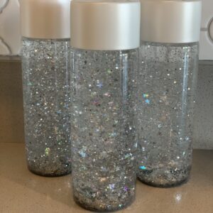 Voss Plastic Water Bottles